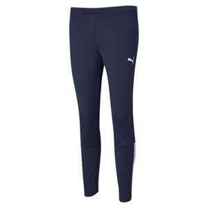Puma teamLIGA Training Pants W - blau