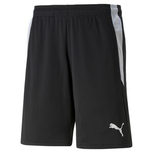 Puma teamLIGA Referee Shorts - schwarz
