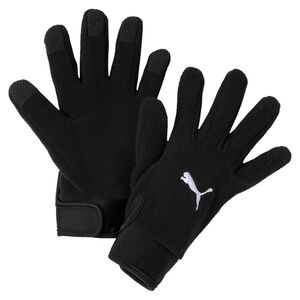 Puma teamLIGA 21 Winter gloves - schwarz