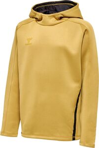 Hummel Hmlcima Xk Hoodie Kids - antique gold