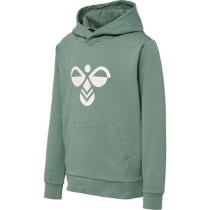 Hummel Hmlcuatro Hoodie - laurel wreath