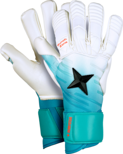 APS Pro Grip Aqua v23