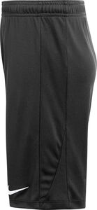 Nike Dri-FIT Academy Pro 24 Shorts KZ Fu�ballshorts f�r Jugendliche (Stock)