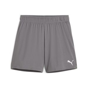 Puma teamGOAL Shorts Wmns - grau