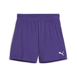 Puma teamGOAL Shorts Wmns - violett
