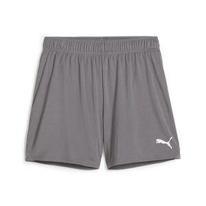 Puma teamGOAL Handball Shorts W - grau