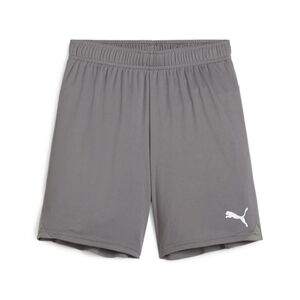 Puma teamGOAL Shorts Jr - grau