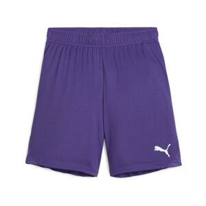 Puma teamGOAL Shorts Jr - violett