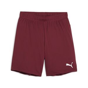 Puma teamGOAL Shorts Jr - rot