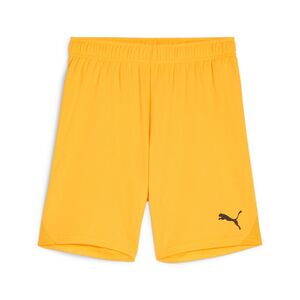 Puma teamGOAL Shorts Jr - orange