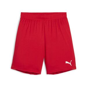 Puma teamGOAL Shorts Jr - rot