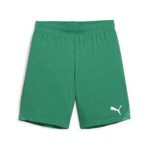 Puma teamGOAL Shorts Jr - gr�n