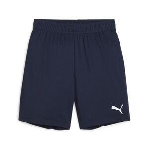 Puma teamGOAL Shorts Jr - blau