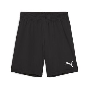 Puma teamGOAL Shorts Jr - schwarz