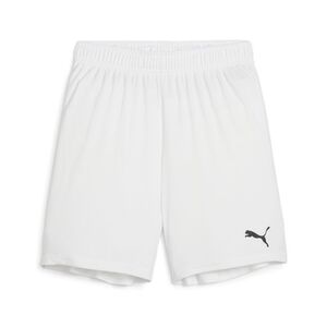 Puma teamGOAL Shorts Jr - weiss