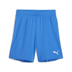 Puma teamGOAL Shorts Jr - blau