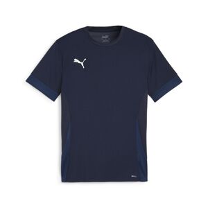 Puma teamGOAL Matchday  Jersey - blau