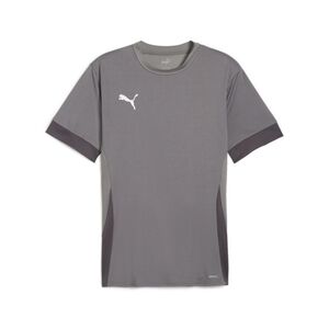 Puma teamGOAL Matchday  Jersey - grau