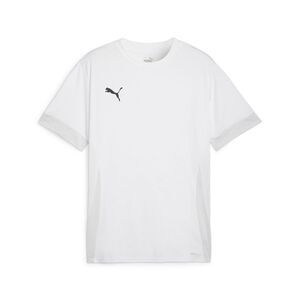 Puma teamGOAL Matchday  Jersey - weiss