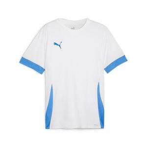 Puma teamGOAL Matchday  Jersey - weiss