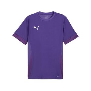 Puma teamGOAL Matchday  Jersey - violett