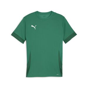 Puma teamGOAL Matchday  Jersey - gr�n