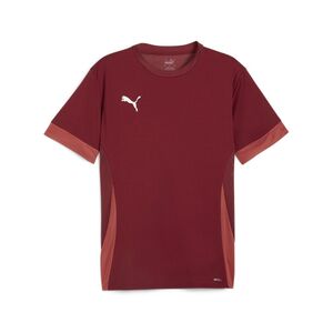 Puma teamGOAL Matchday  Jersey - rot