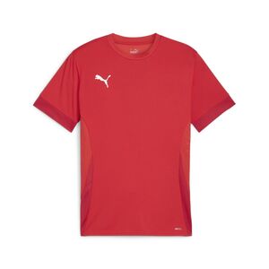 Puma teamGOAL Matchday  Jersey - rot