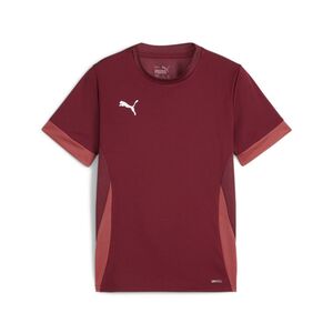 Puma teamGOAL Matchday Jersey jr - rot