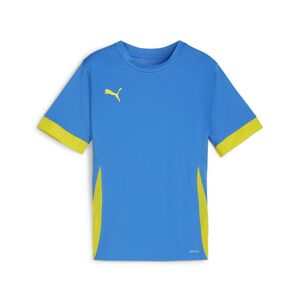 Puma teamGOAL Matchday Jersey jr - blau