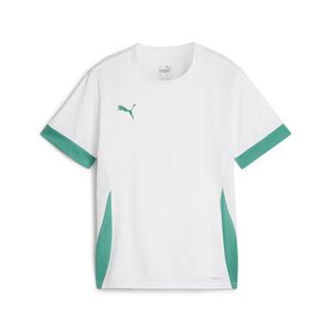 Puma teamGOAL Matchday Jersey jr - weiss