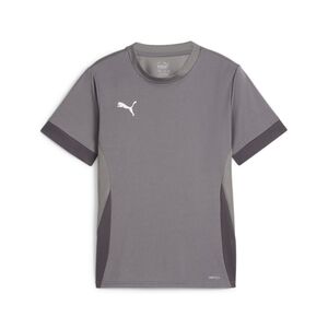 Puma teamGOAL Matchday Jersey jr - grau