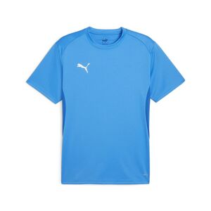 Puma teamGOAL  Jersey - blau