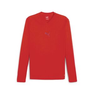 Puma teamGOAL Baselayer Tee LS - rot