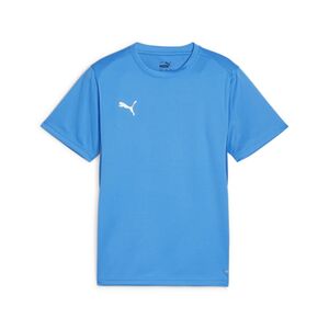 Puma teamGOAL Jersey Jr - blau