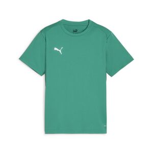 Puma teamGOAL Jersey Jr - gr�n