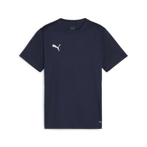 Puma teamGOAL Jersey Jr - blau