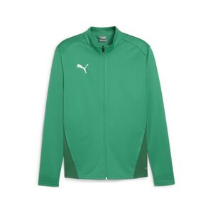 Puma teamGOAL Training Jacket - gr�n