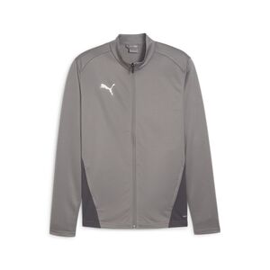 Puma teamGOAL Training Jacket - grau