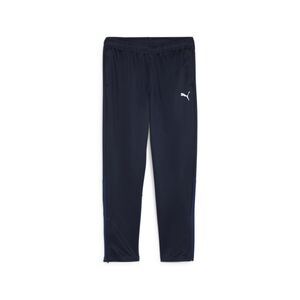 Puma teamGOAL Training Pant Wmn - blau