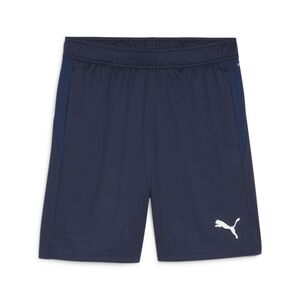 Puma teamGOAL Training Short - blau