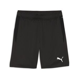 Puma teamGOAL Training Short - schwarz