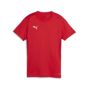Puma teamGOAL Jersey Wmn - rot