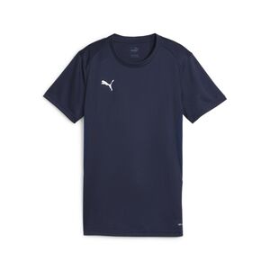 Puma teamGOAL Jersey Wmn - blau