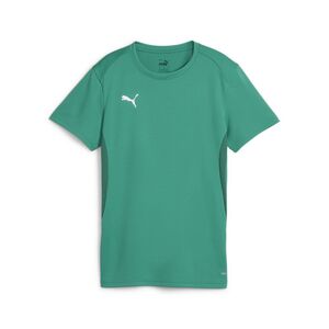 Puma teamGOAL Jersey Wmn - grn