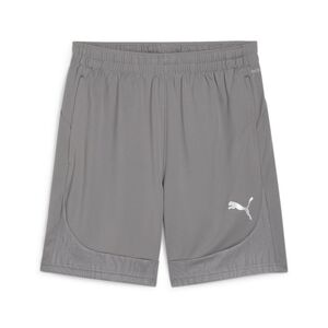 Puma teamFINAL Training Shorts - grau