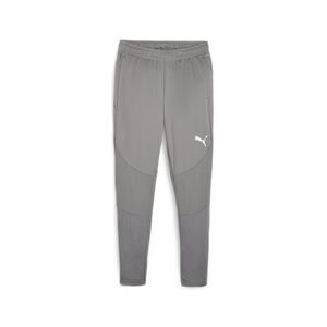 Puma teamFINAL Training Pants - grau