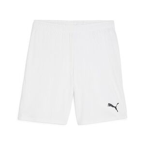 Puma teamGOAL Shorts - weiss