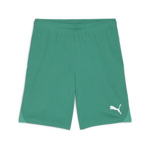 Puma teamGOAL Shorts - gr�n