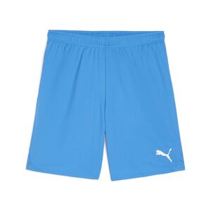 Puma teamGOAL Shorts - blau